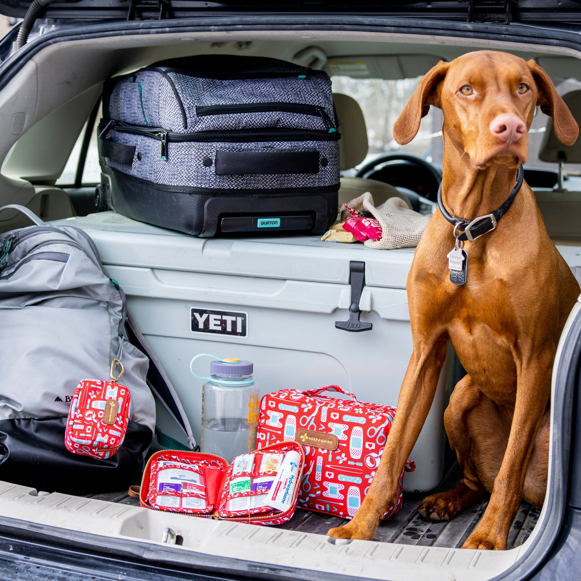How to prepare for long Road Trips with Kids