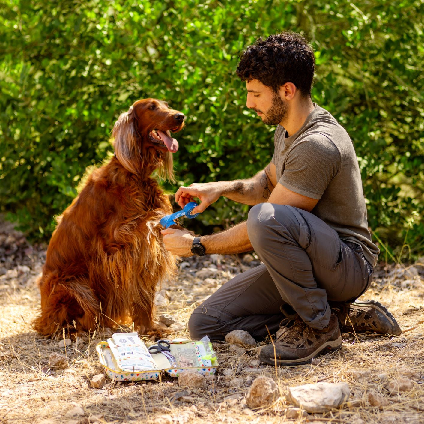 5 Common Dog Injuries You Can Handle At Home (Step-By-Step With Your Pet Kit)