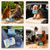Pet First Aid Kit Dogs (99 pcs)