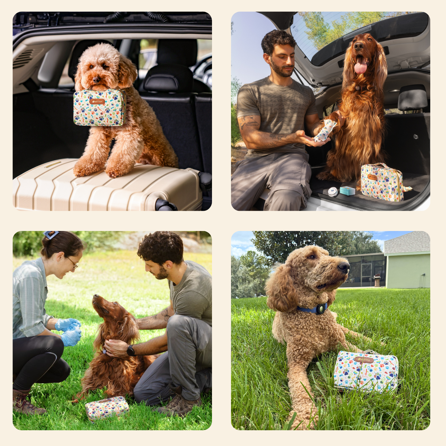 Pet First Aid Kit Paws (99 pcs)